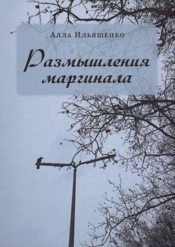 Размышления маргинала