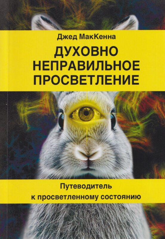 Духовно неправильное просветление. Путеводитель к просветленному состоянию