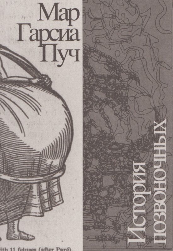 История позвоночных