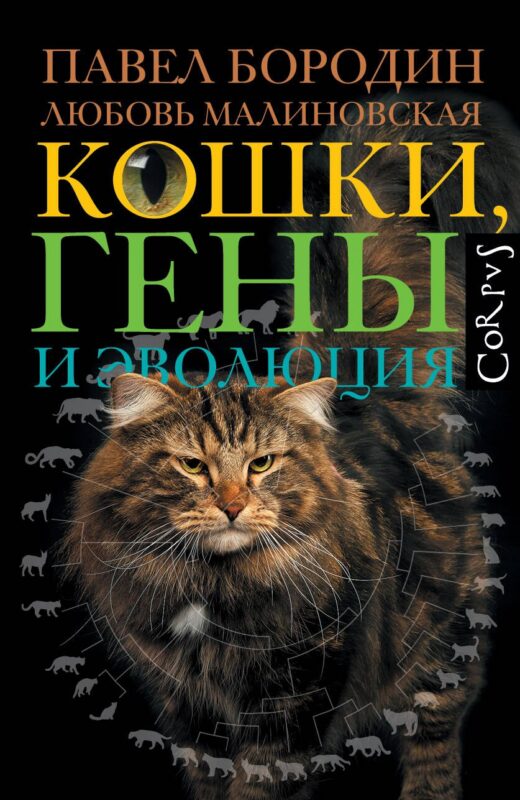 Кошки, гены и эволюция