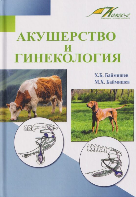 Акушерство и гинекология. Учебное пособие