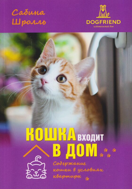 Кошка входит в дом