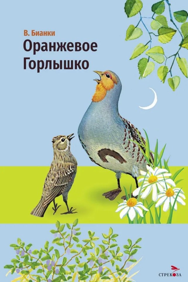 Оранжевое горлышко. Сказка