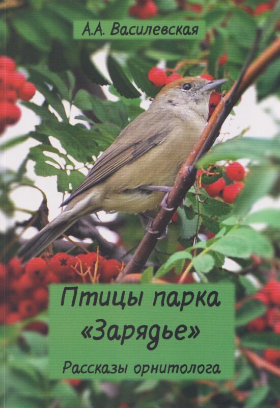 Птицы парка Зарядье: рассказы орнитолога