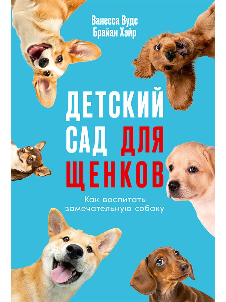 Детский сад для щенков: Как воспитать замечательную собаку