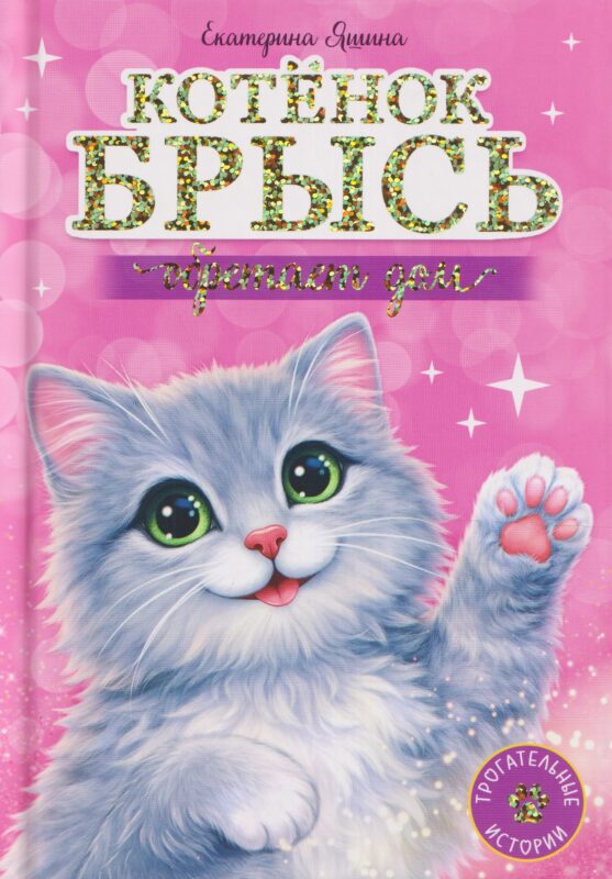 Котёнок Брысь обретает дом