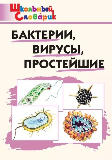 Бактерии, вирусы, простейшие. Начальная школа