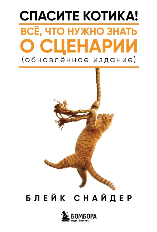 Спасите котика! Все, что нужно знать о сценарии (обновленное издание)