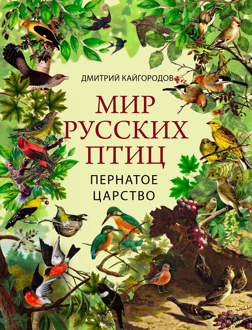 Мир русских птиц. Пернатое царство