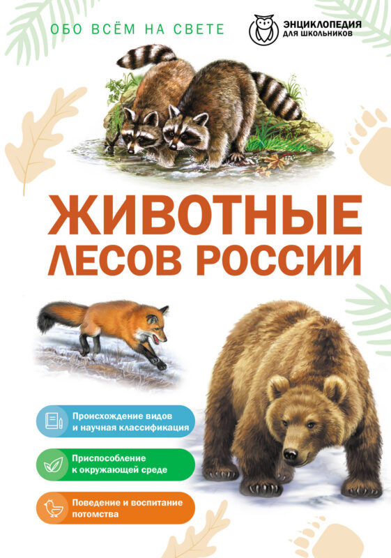 Животные лесов России