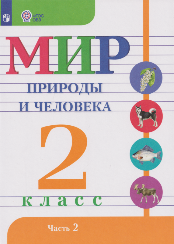 Матвеева. Мир природы и человека. 2 класс. Учебник. В 2-х ч. Ч.2 /обуч. с интеллект. нарушен/