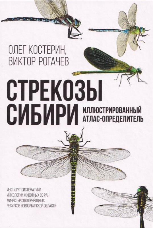 Стрекозы Сибири: Иллюстрированный атлас-определитель