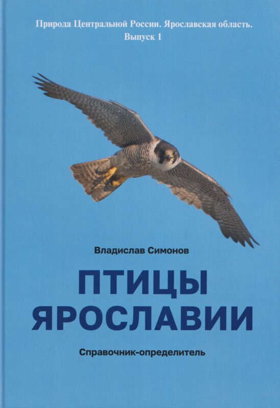 Птицы Ярославии. Справочник-определитель