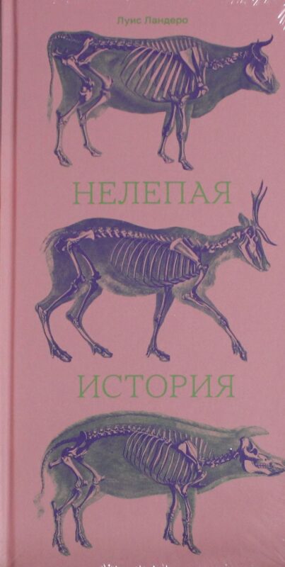 Нелепая история