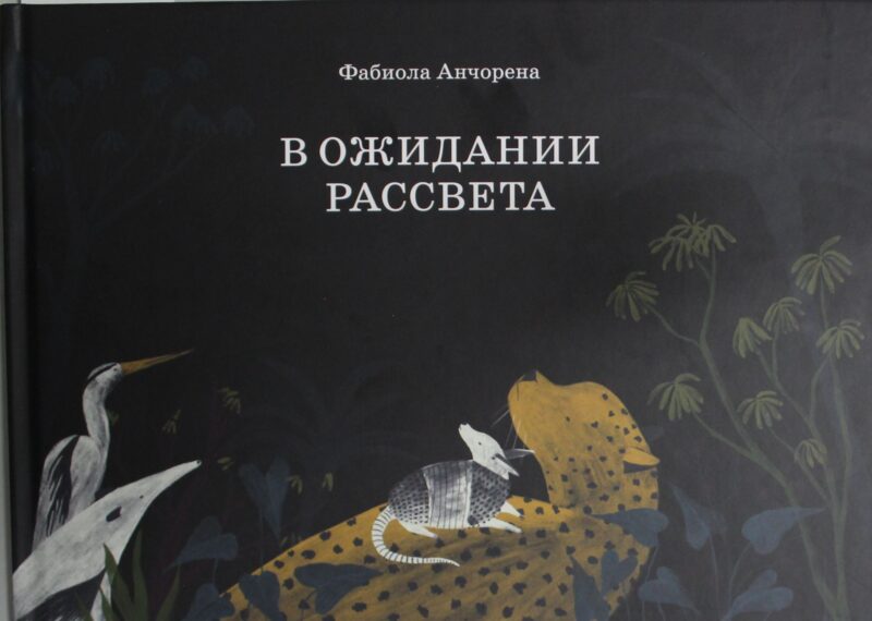 В ожидании рассвета