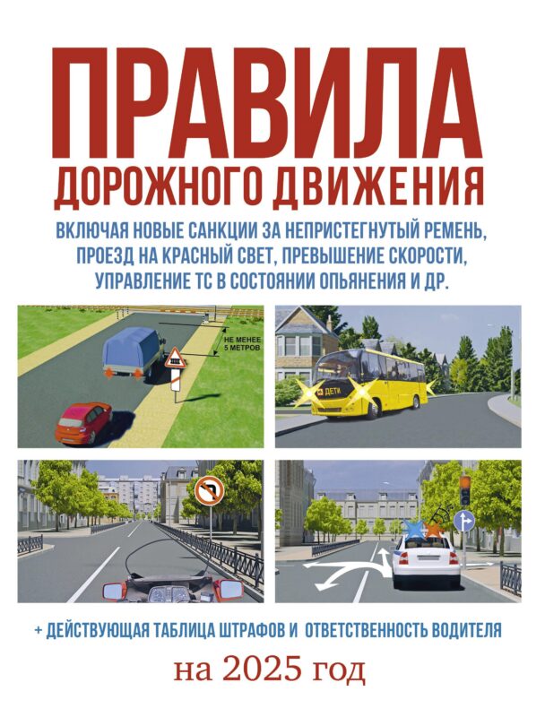 Правила дорожного движения на 2025 год. Действующая таблица штрафов и ответственность водителя