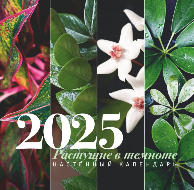 Растущие в темноте. Настенный календарь на 2025 год