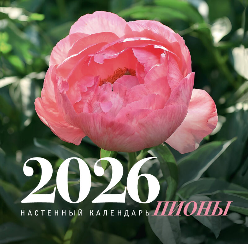 Пионы. Настенный календарь на 2026 год