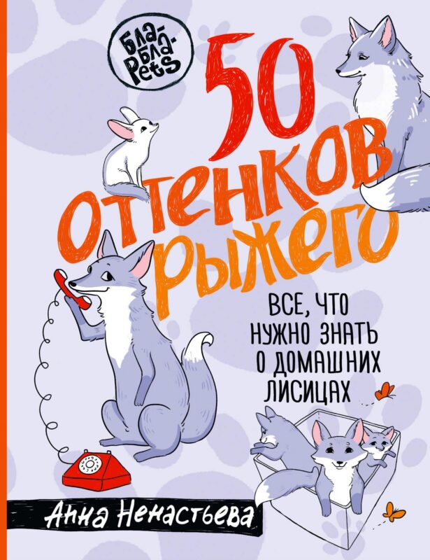 50 оттенков рыжего. Все, что нужно знать о домашних лисицах