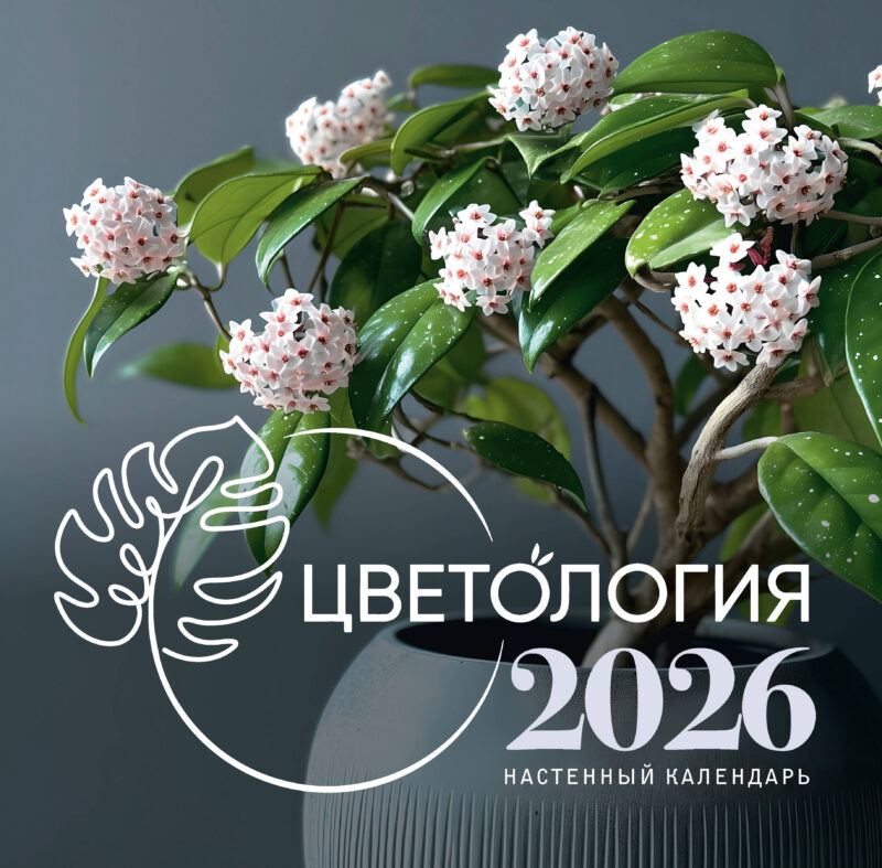 Цветология. Настенный календарь на 2026 год