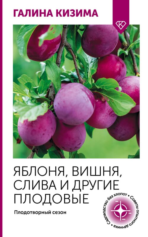 Яблоня, вишня, слива и другие плодовые. Плодотворный сезон