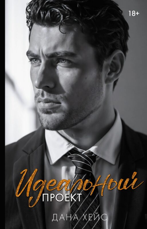Идеальный проект
