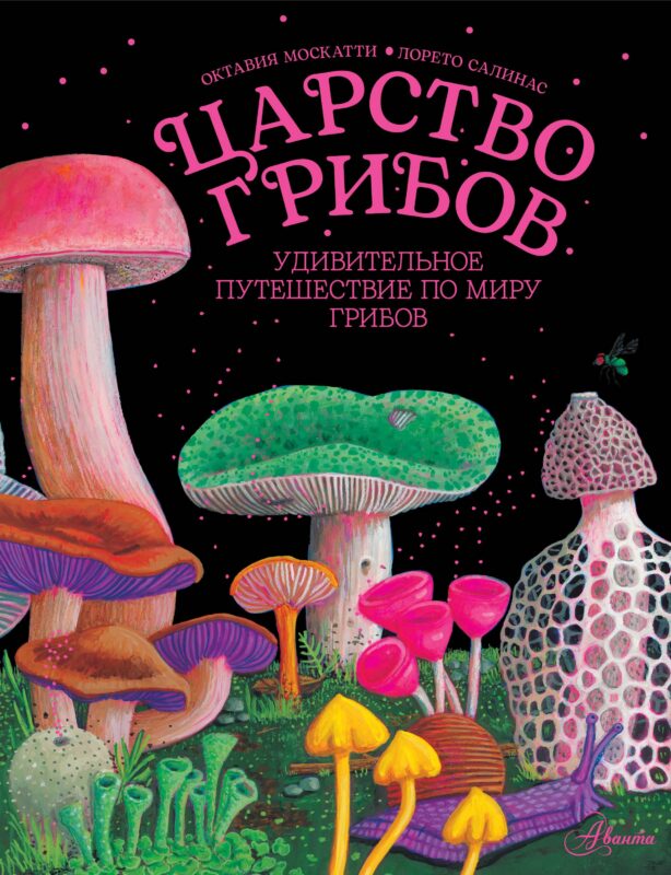 Царство грибов