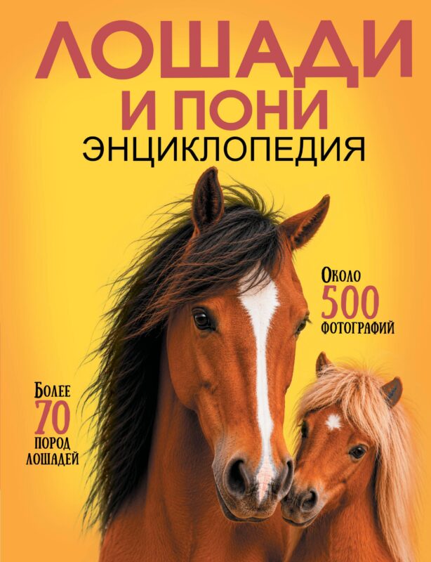 Лошади и пони