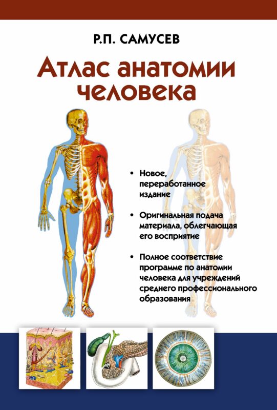 Атлас анатомии человека. Учебное пособие для студентов учреждений среднего профессионального образов