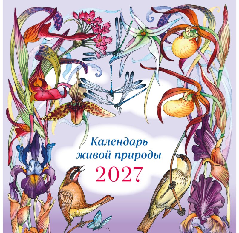 Календарь живой природы настенный на 2027 год (ил. И. Волковой)