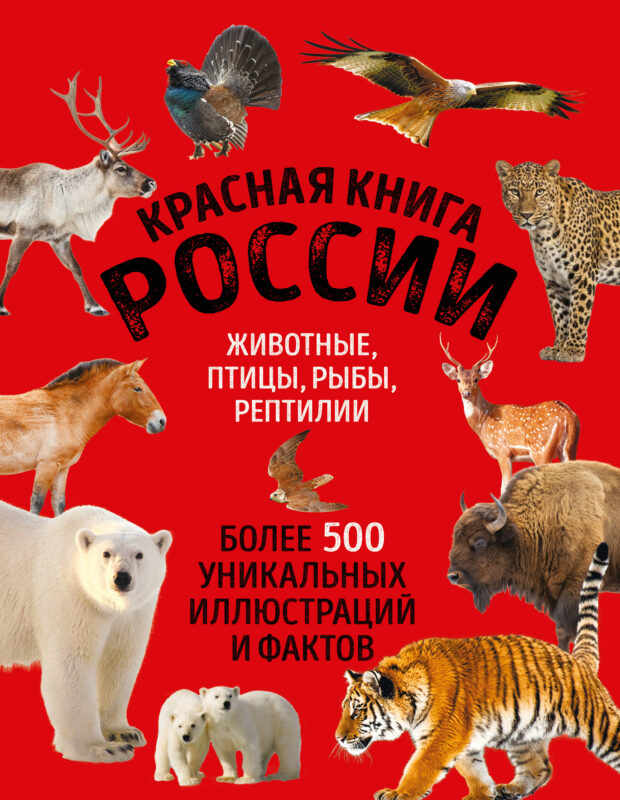 Красная книга России. Большой формат. Более 500 уникальных иллюстраций и фактов (новое издание) (основной)