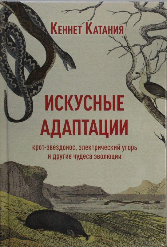 Искусные адаптации. Крот-звездонос, электрический угорь и другие чудеса эволюции