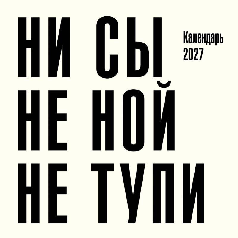 Ни сы, не ной, не тупи. Календарь настенный на 2027 год (300х300)