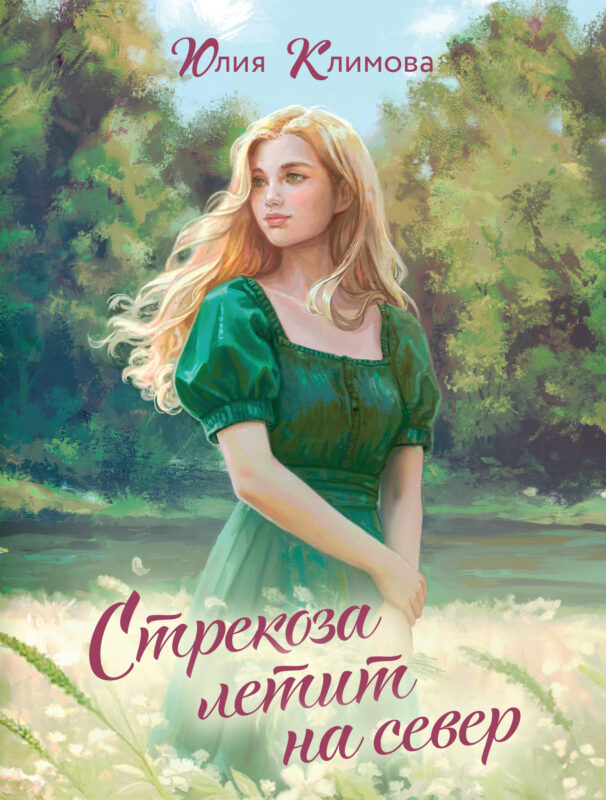 Стрекоза летит на север (Путь домой #1)