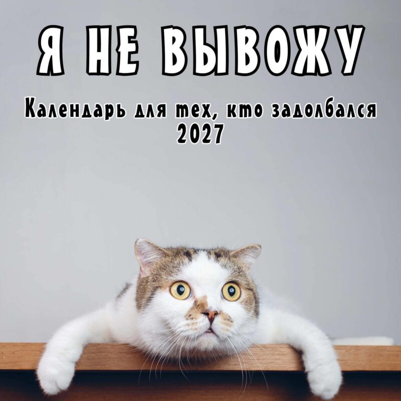 Я не вывожу! Календарь настенный на 2027 год для тех, кто задолбался (300х300 мм)