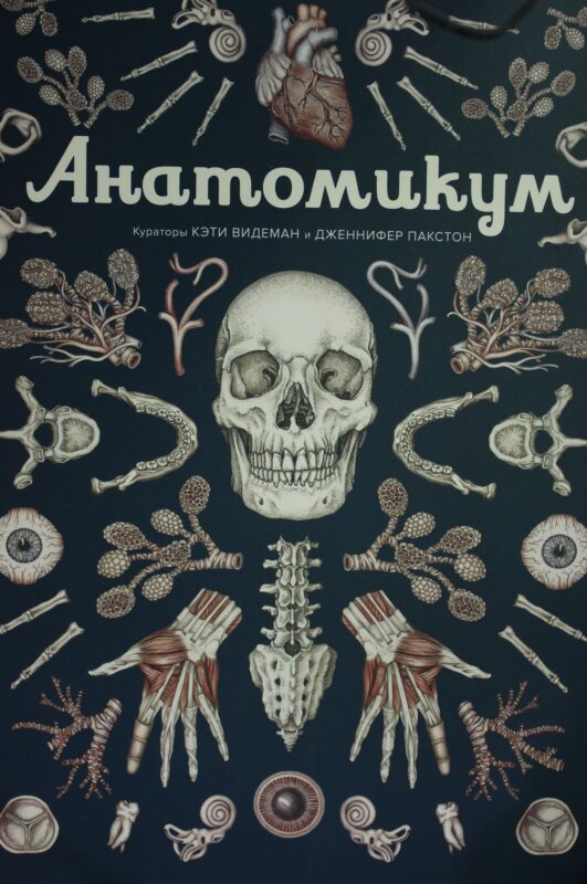 Анатомикум