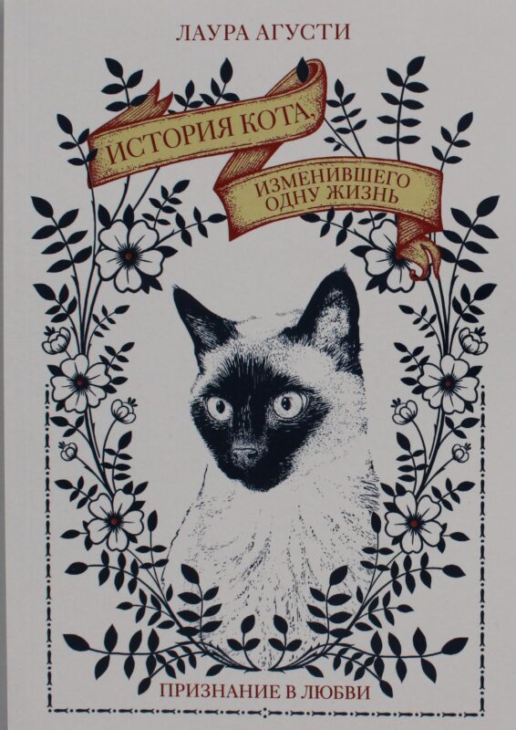 История кота, изменившего одну жизнь. Признание в любви