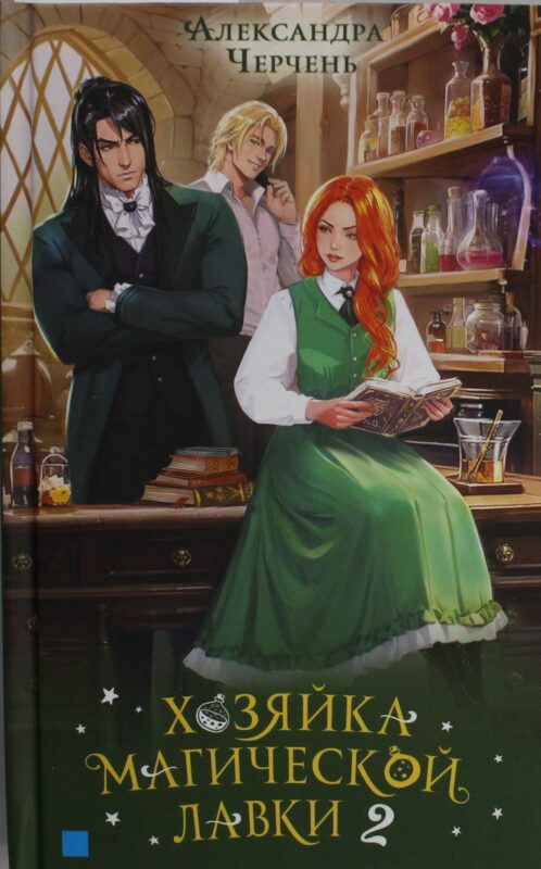 Хозяйка магической лавки. Книга 2