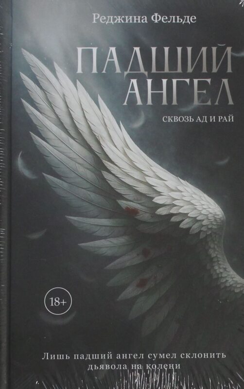 Падший ангел. Кн. 1 Сквозь ад и рай